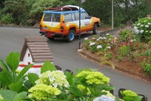 Madeira : Santana & Peaks full day tour by Open 4x4