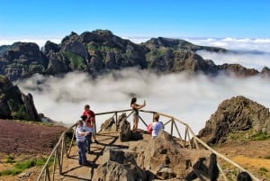 Madeira : Santana & Peaks full day tour by Open 4x4