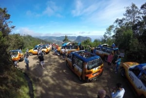 Madeira : Santana & Peaks full day tour by Open 4x4