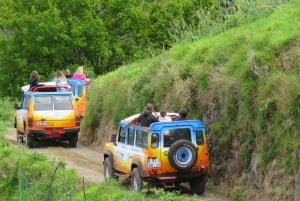 Madeira : Santana & Peaks full day tour by Open 4x4