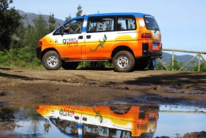 Madeira : Santana & Peaks full day tour by Open 4x4