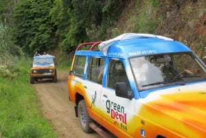 Madeira : Santana & Peaks full day tour by Open 4x4