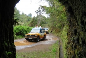 Madeira : Santana & Peaks full day tour by Open 4x4