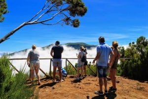 Madeira : Santana & Peaks full day tour by Open 4x4