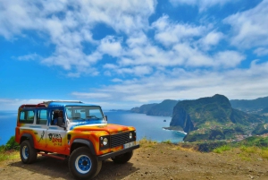 Madeira : Santana & Peaks heldagstur med åpen 4x4