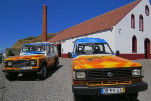 Madeira : Santana & Peaks heldagstur med åpen 4x4