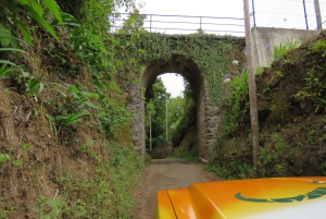 Madeira : Santana & Peaks heldagstur med åpen 4x4