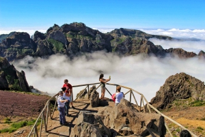 Madeira : Santana & Peaks heldagstur med åpen 4x4