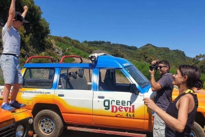 Madeira : Santana & Peaks heldagstur med åpen 4x4