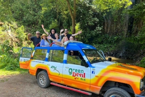 Madeira : Santana & Peaks heldagstur med åpen 4x4