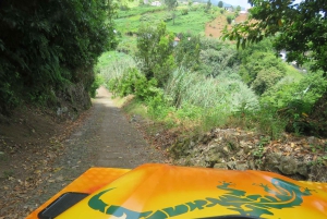 Madeira : Santana & Peaks heldagstur med åpen 4x4