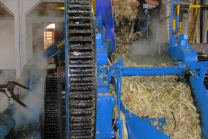 Madeira : Santana & Peaks heldagstur med åpen 4x4