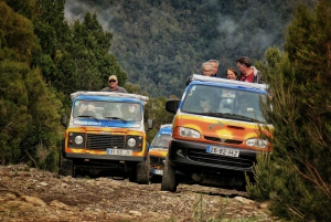 Madeira : Santana & Peaks heldagstur med åpen 4x4