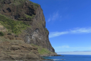Madeira : Santana & Peaks heldagstur med åpen 4x4