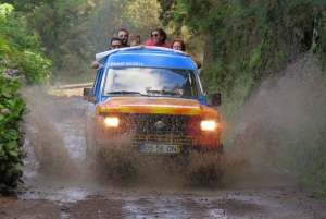 Madeira : Santana & Peaks heldagstur med åpen 4x4
