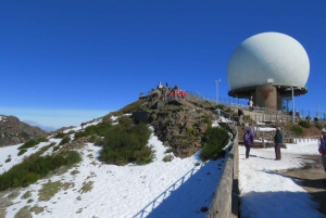 Madeira : Santana & Peaks heldagstur med åpen 4x4