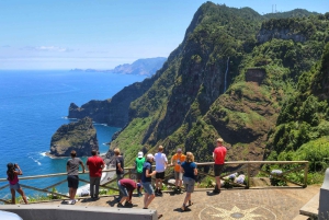 Madeira : Santana & Peaks heldagstur med åpen 4x4
