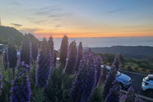 Madeira : Santana, Pico Arieiro, walk full day 4x4 Jeep tour