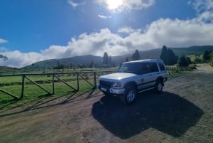 Madeira : Santana, Pico Arieiro, walk full day 4x4 Jeep tour