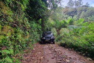 Madeira : Santana, Pico Arieiro, walk full day 4x4 Jeep tour