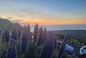 Madeira: Santana, Pico Arieiro, excursão de 1 dia em jipe 4x4