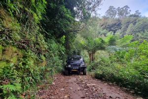 Madeira: Santana, Pico Arieiro, excursão de 1 dia em jipe 4x4
