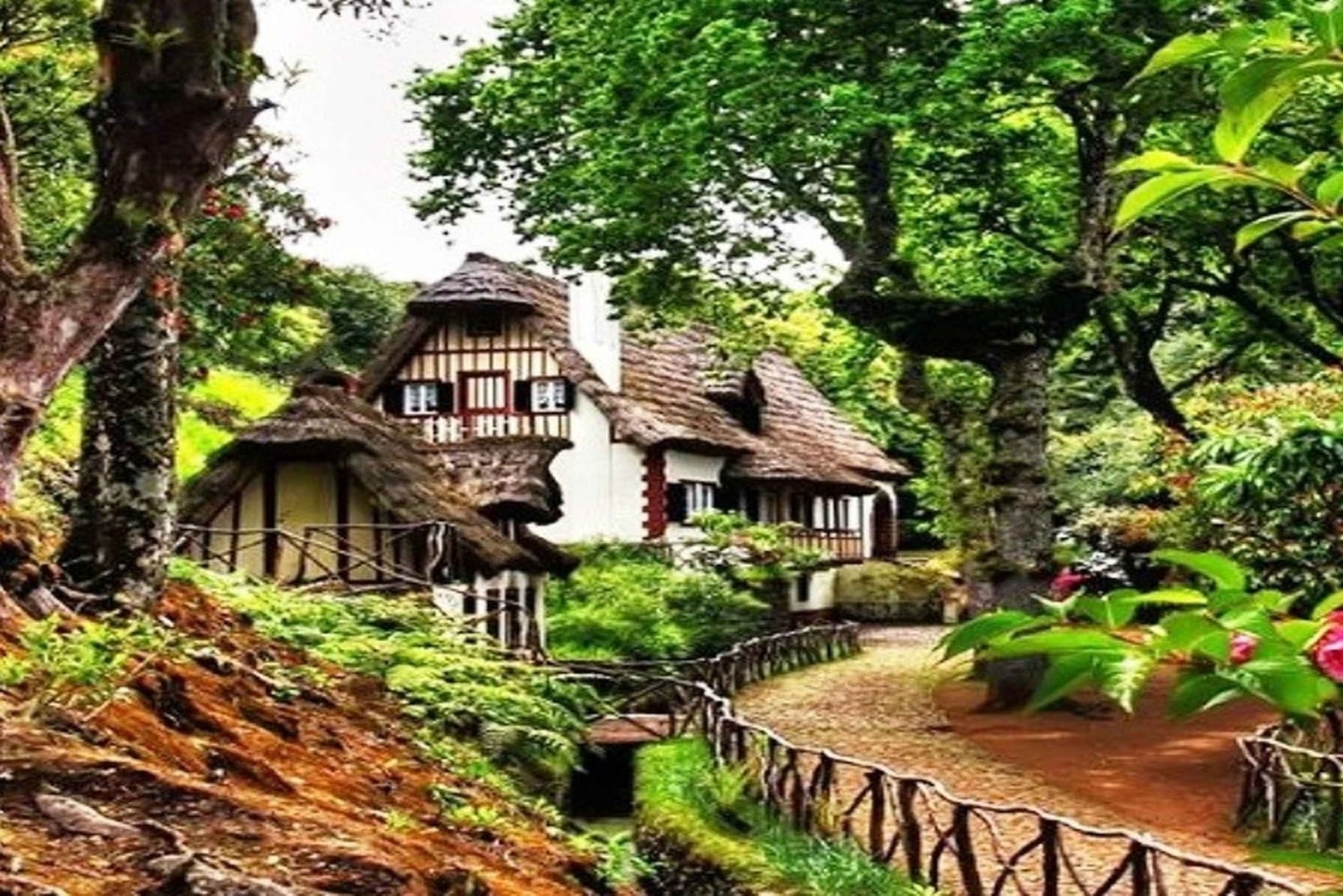 マデイラ：サンタナトラディショナルハウスプライベート半日ツアー