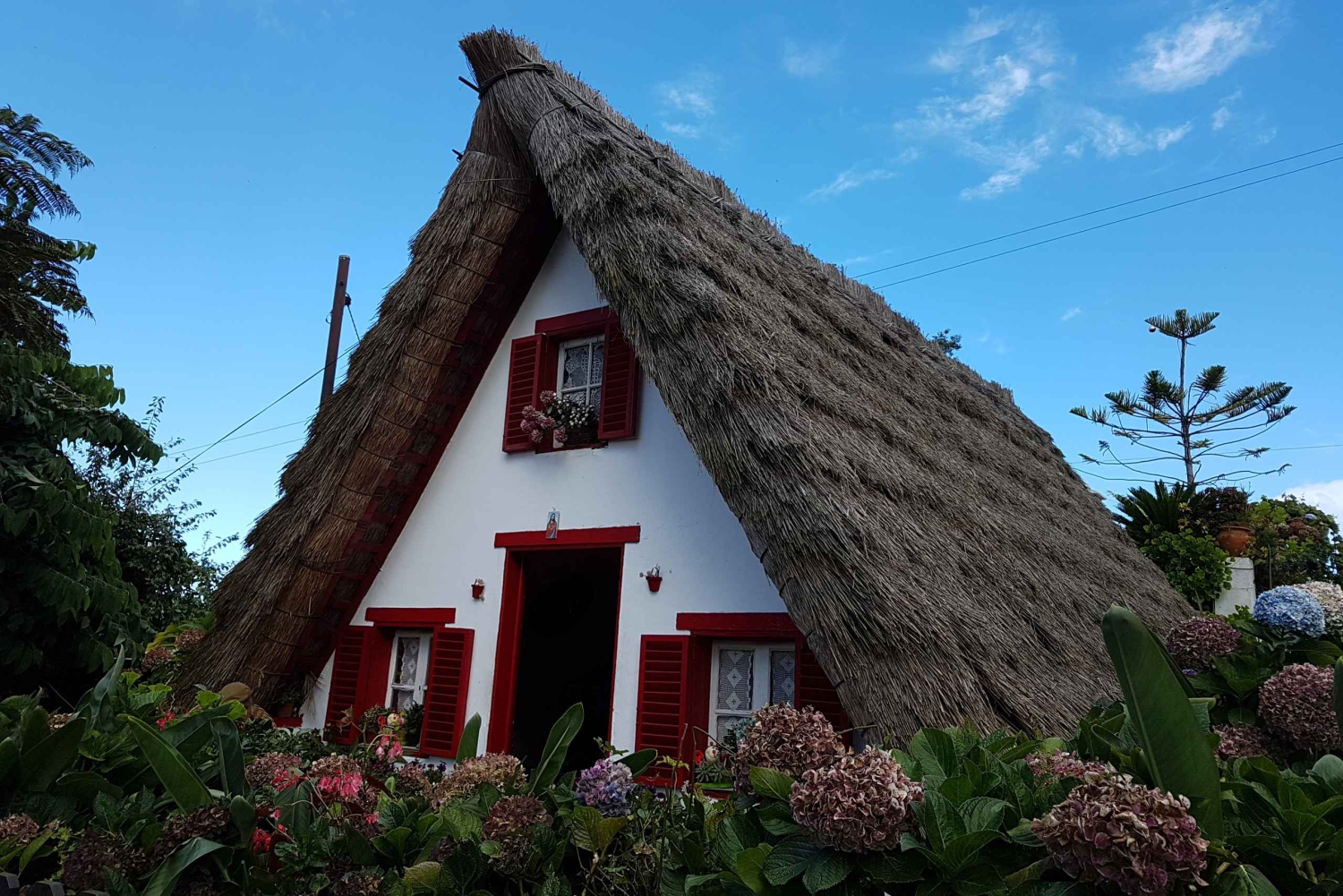 マデイラ：サンタナトラディショナルハウスプライベート半日ツアー
