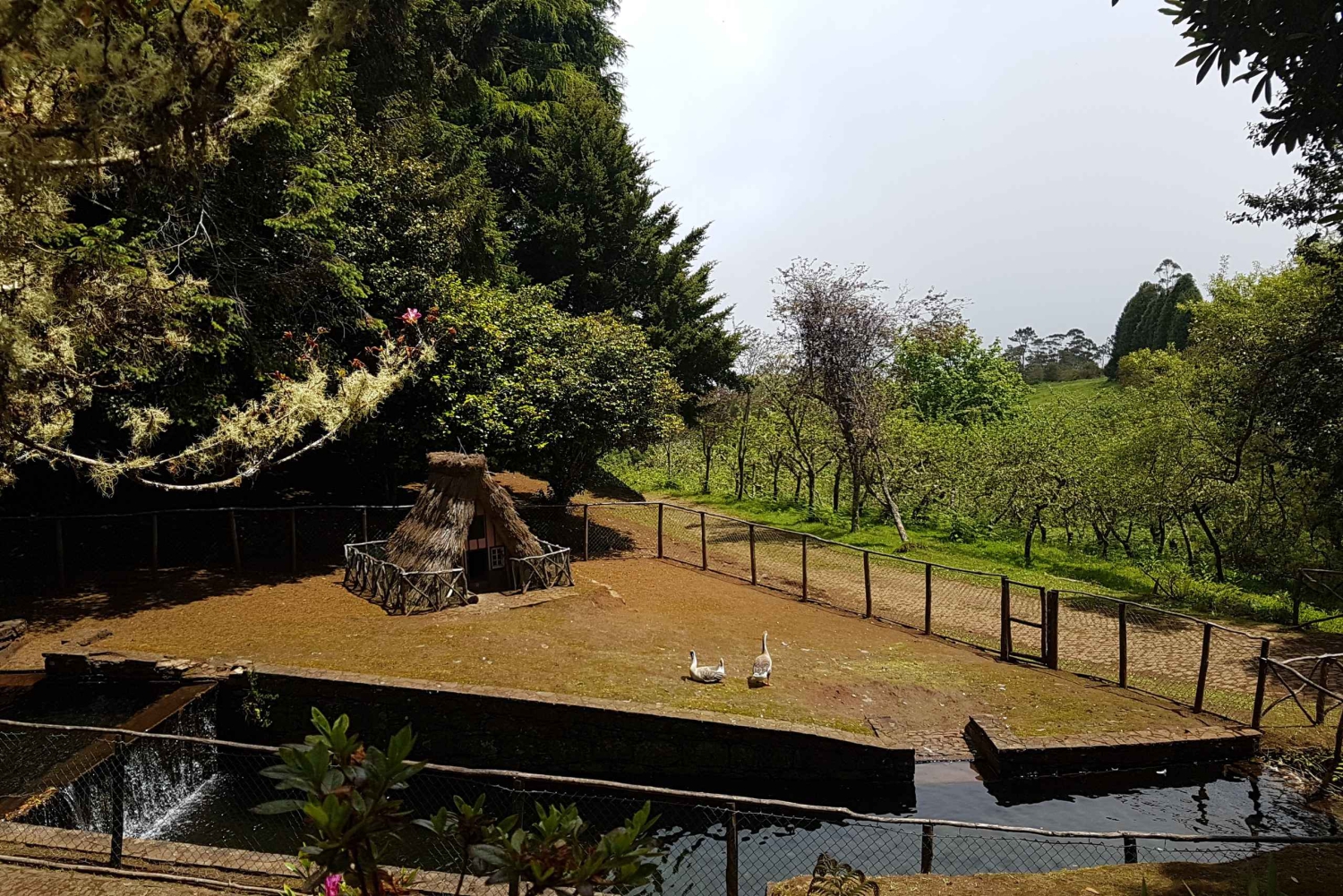 マデイラ：サンタナトラディショナルハウスプライベート半日ツアー