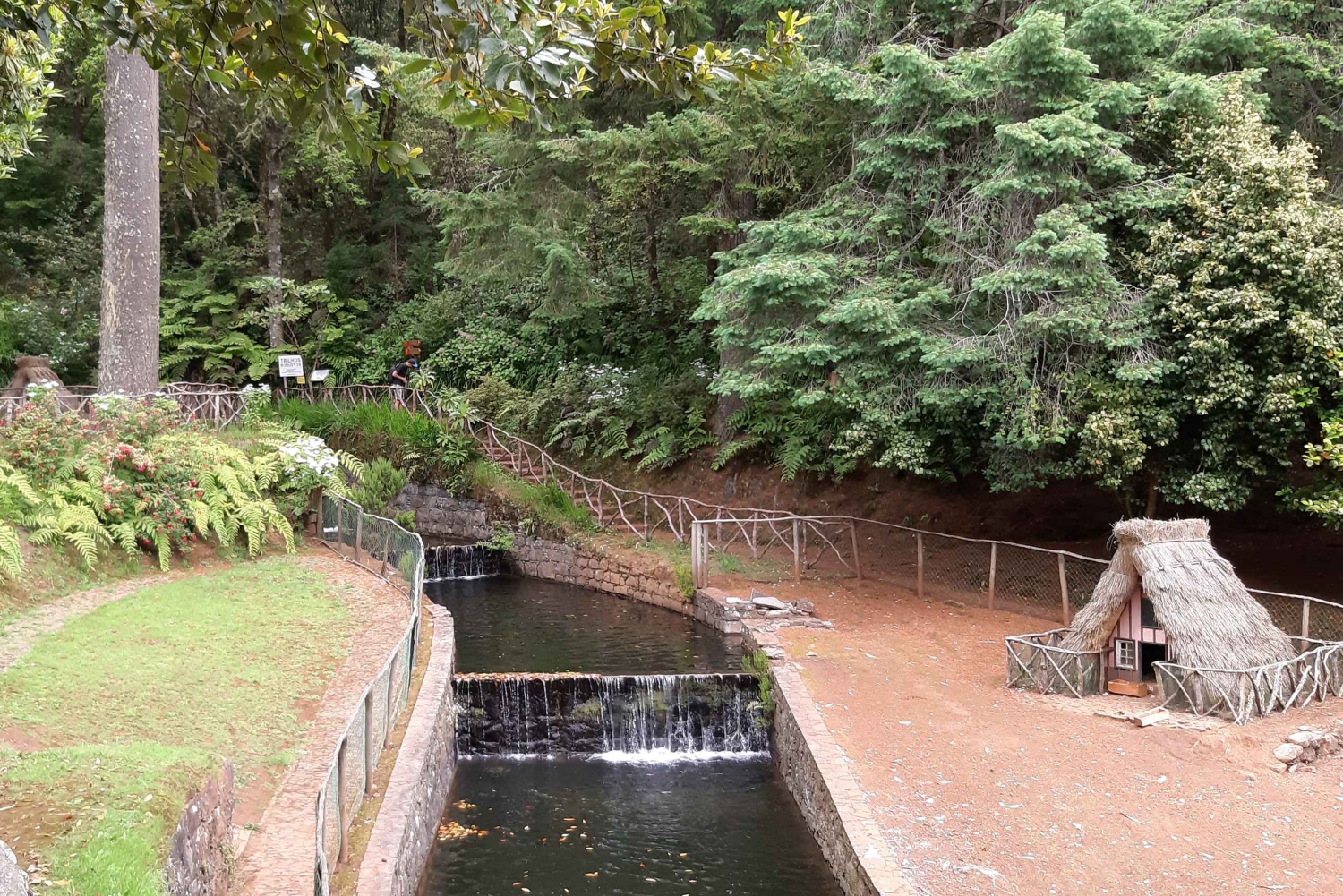 マデイラ：サンタナトラディショナルハウスプライベート半日ツアー