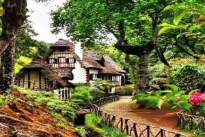 Madeira: Santana Traditional Houses Private Half-Day Tour