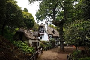 Madeira: Santana Traditional Houses Private Half-Day Tour