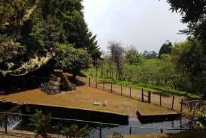 Madeira: Santana Traditional Houses Private Half-Day Tour