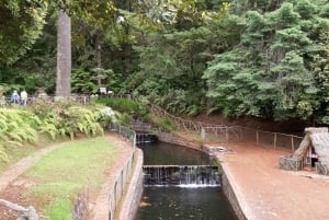 Madeira: Santana Traditional Houses Private Half-Day Tour