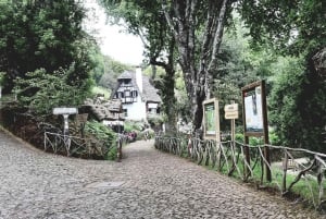 Madeira: Santana Traditional Houses Private Half-Day Tour