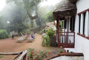 Madeira: Santana Traditional Houses Private Half-Day Tour