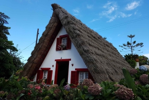 マデイラ：サンタナトラディショナルハウスプライベート半日ツアー