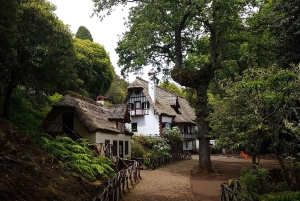 マデイラ：サンタナトラディショナルハウスプライベート半日ツアー