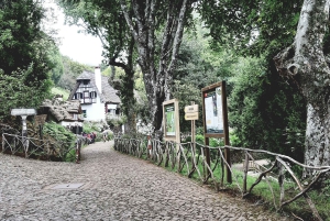 マデイラ：サンタナトラディショナルハウスプライベート半日ツアー