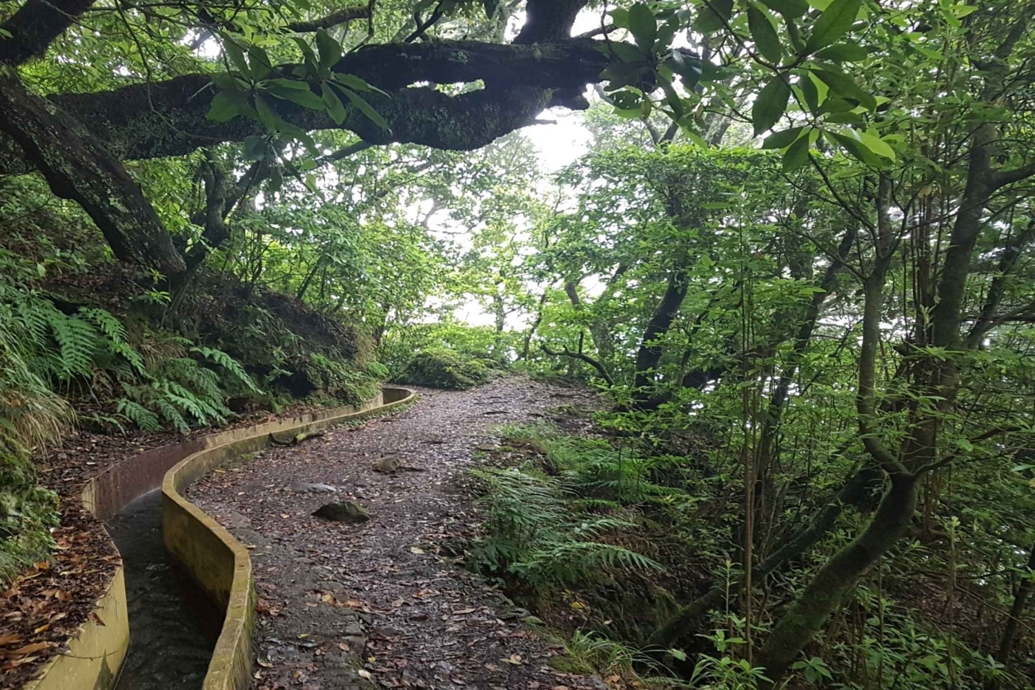 Madeira: Levada Santo da Serra - Ribeiro Frio privat gåtur