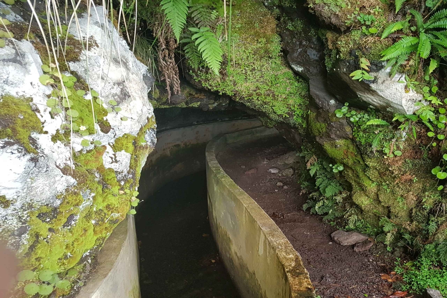 Madeira: Levada Santo da Serra - Ribeiro Frio privat gåtur