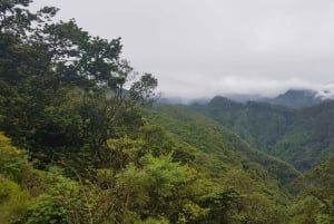 Madeira: Levada Santo da Serra - Passeio Privado Ribeiro Frio