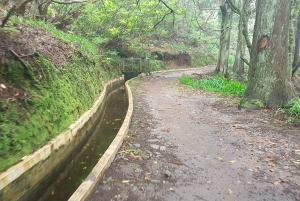 Madeira: Levada Santo da Serra - Ribeiro Frio privat gåtur