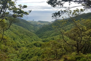 Madeira: Levada Santo da Serra - Ribeiro Frio privat gåtur
