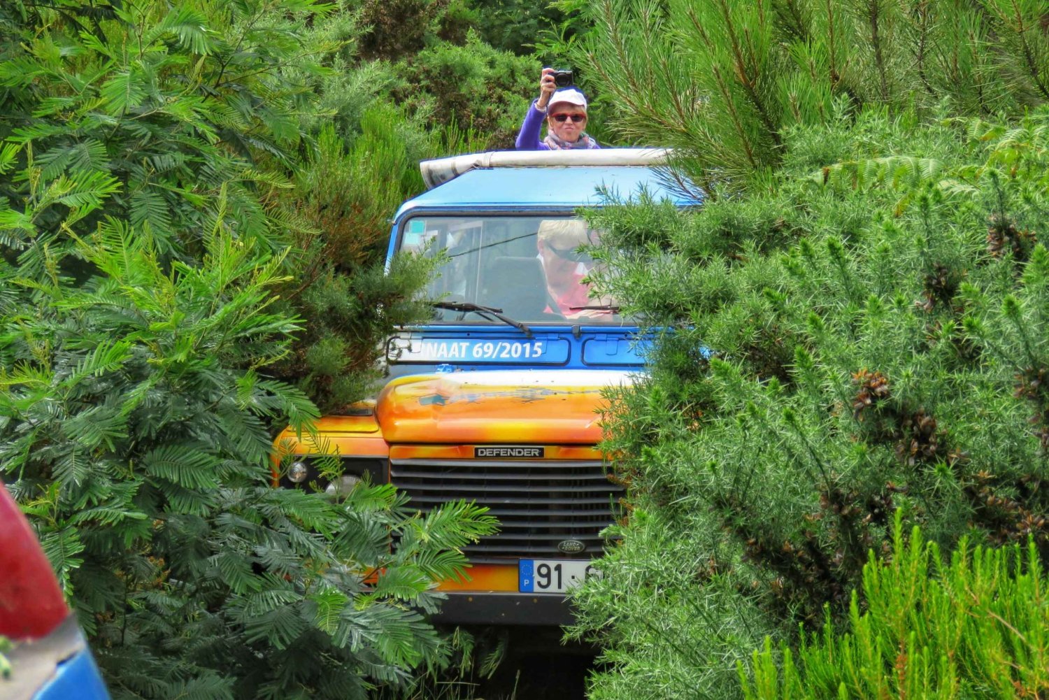 Madeira : Santo de Serra Local Farmers' Market half day trip