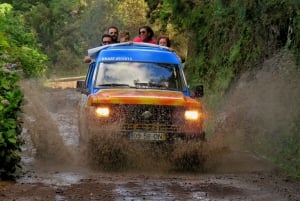 Madeira : Santo de Serra Local Farmers' Market half day trip