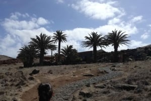 Madeira: Wanderung bei Sonnenaufgang in São Lourenço & Caniçal