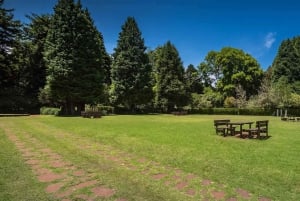 Madeira: Sightseeingtur