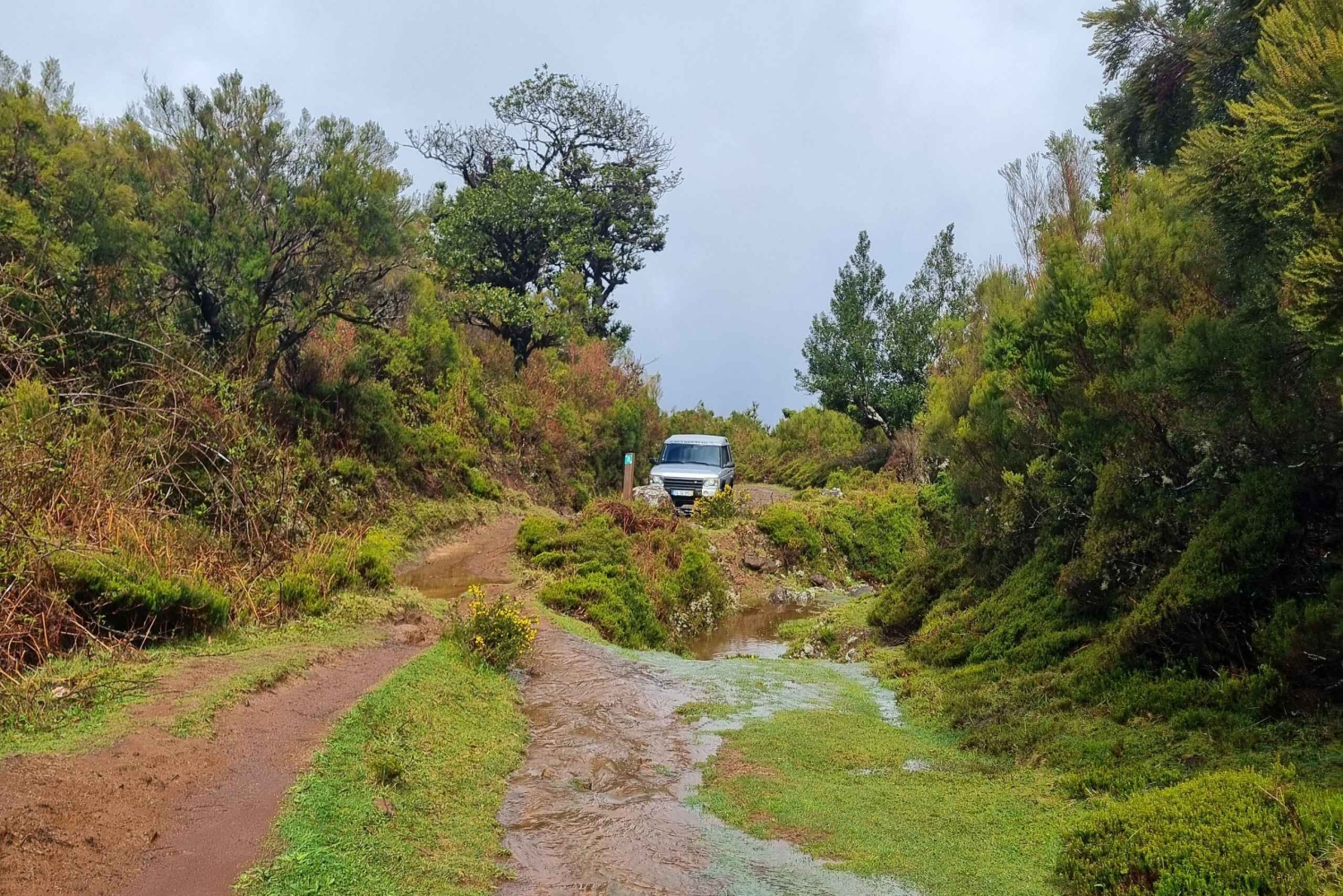 Madeira: SkyWalk, Fanal, naturliga pooler 4x4 Jeeptur