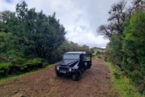 Madeira : SkyWalk, Fanal, Natural Pools 4x4 Jeep Tour